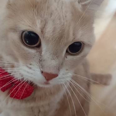 目がらんらん！