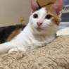 人好き甘えん坊の柚菜ちゃん サムネイル4