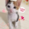 人好き甘えん坊の柚菜ちゃん サムネイル7