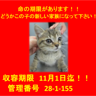 里親決定！！家族ができました(*´▽｀*)