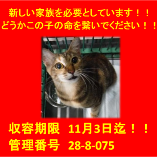 里親決定！！家族ができました(*´▽｀*)