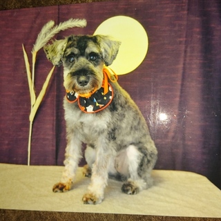 大人しい女の子です♪