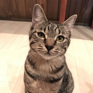 寿(ことぶき)ちゃん