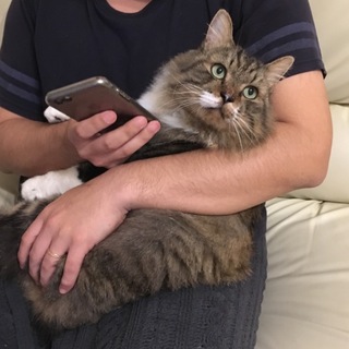 いつでも人にくっついていたい子です