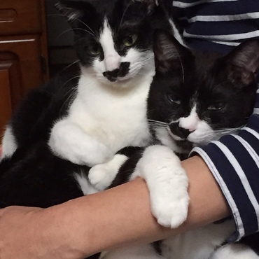 幸せの重み┗(；´Д｀)┛