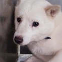 小さな可愛い男の子！