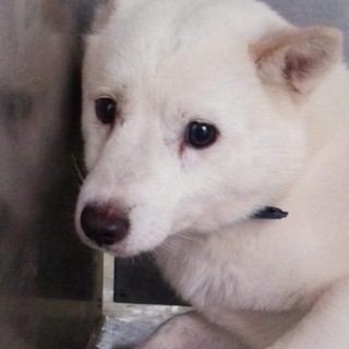 小さな可愛い男の子！