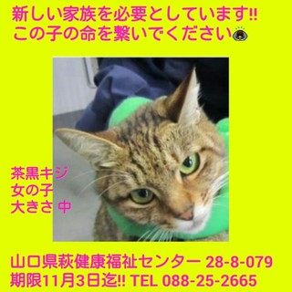 里親様決!! ありがとうございました!! 