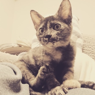 時間の猶予がありません！！