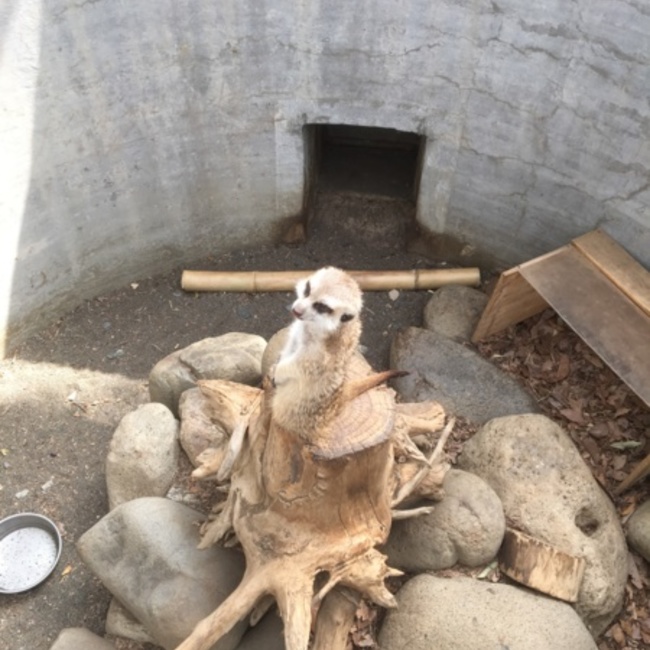 アンアユのカバー写真