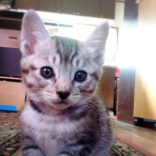 おっとりな男の子