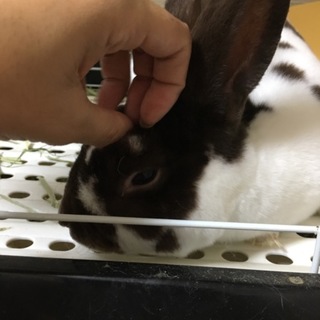 お家が決まりました^ ^