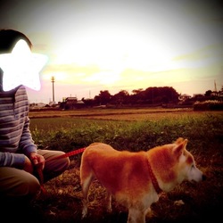 夕方のいぬ散歩＊お供は2人