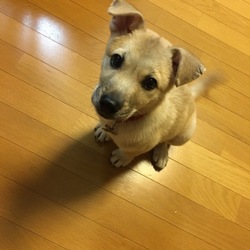 はじめまして
