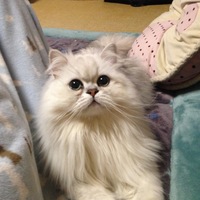 ミルキー
