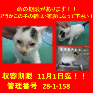 里親決定！！家族ができました(*´▽｀*)