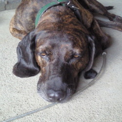 「平和な男」サムネイル2