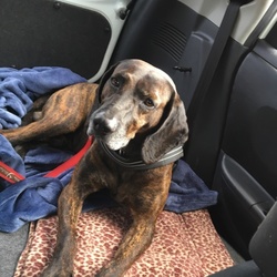 「平和な男」サムネイル3