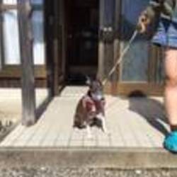 はじめてのお泊り