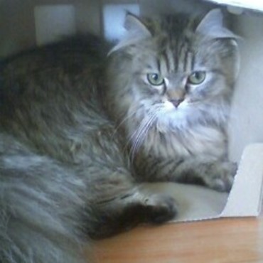 まだ、小さい頃=^_^=