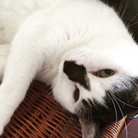 山田ミディ
