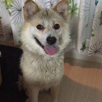 レオン
