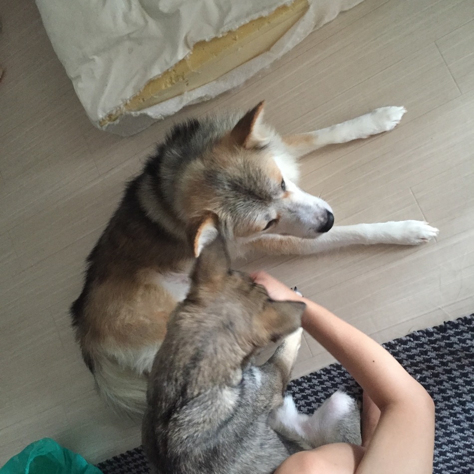 レオンのカバー写真