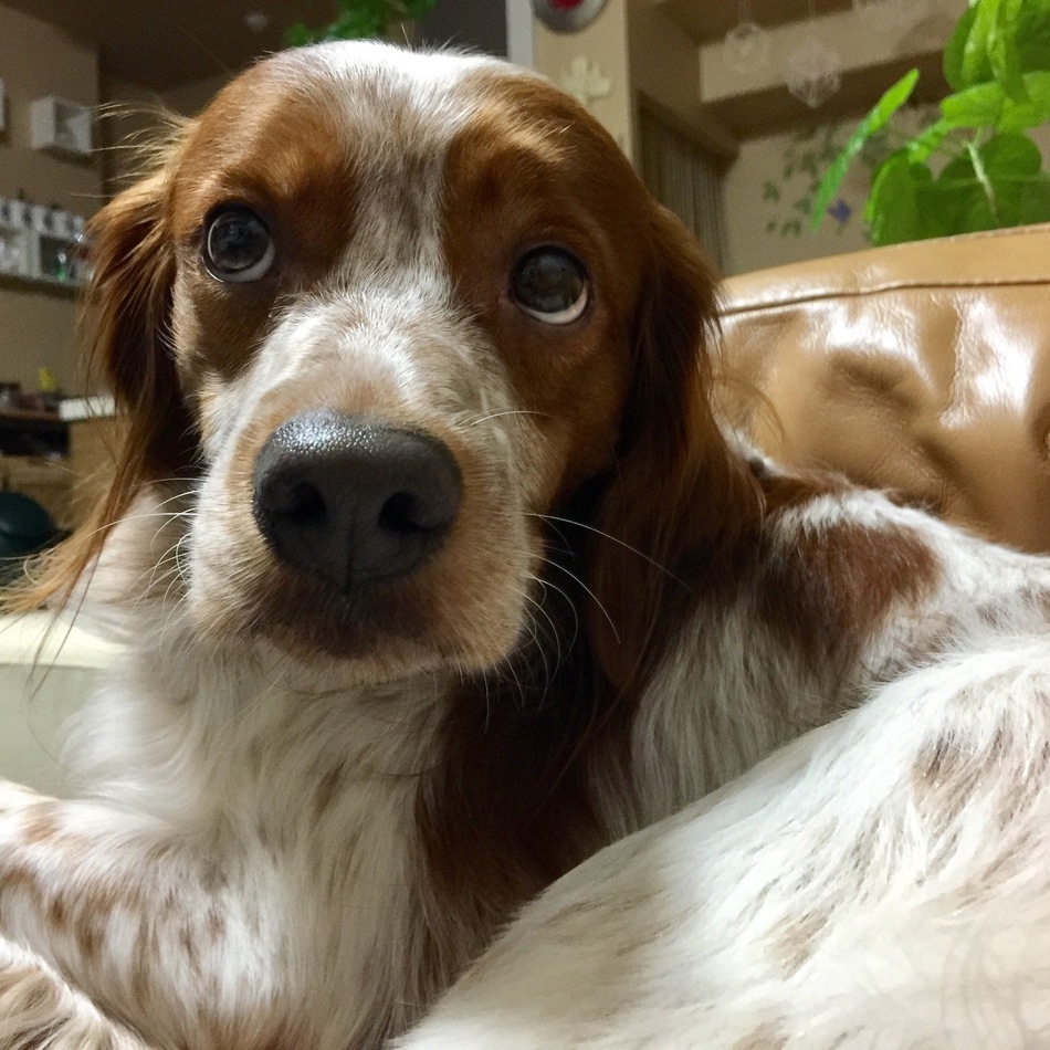 スーリーのカバー写真