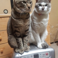 映寿（エース）