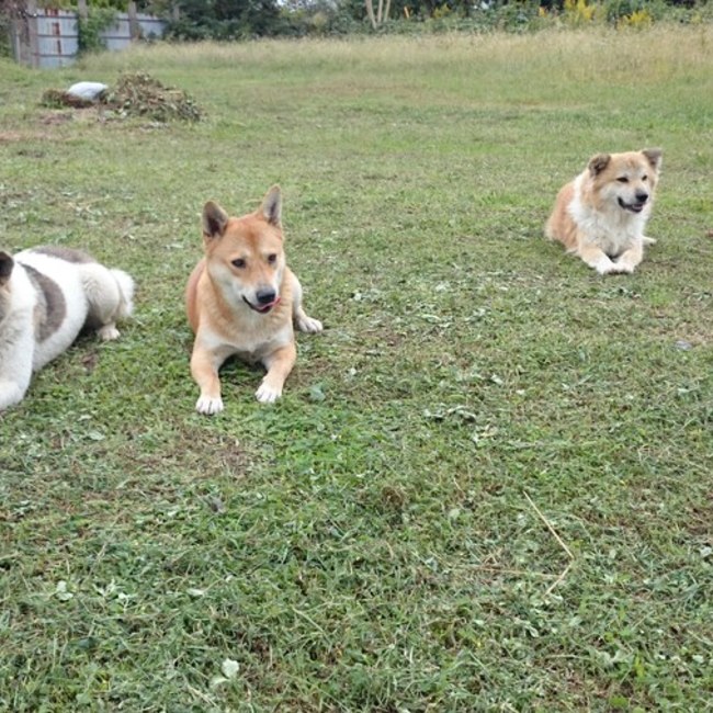 norawanのカバー写真