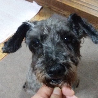 人懐っこくて、とても可愛い女の子♪