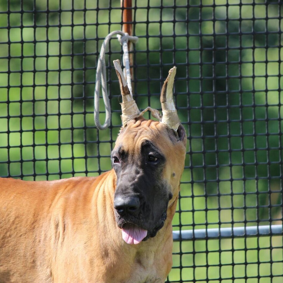 URANのカバー写真