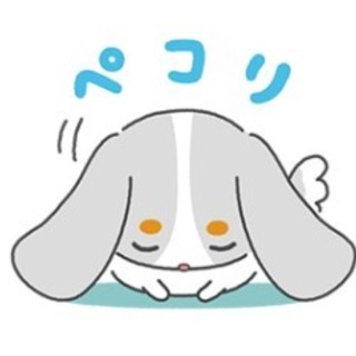 柴犬系の男の子