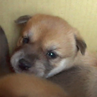 ☆ありがとうございました！