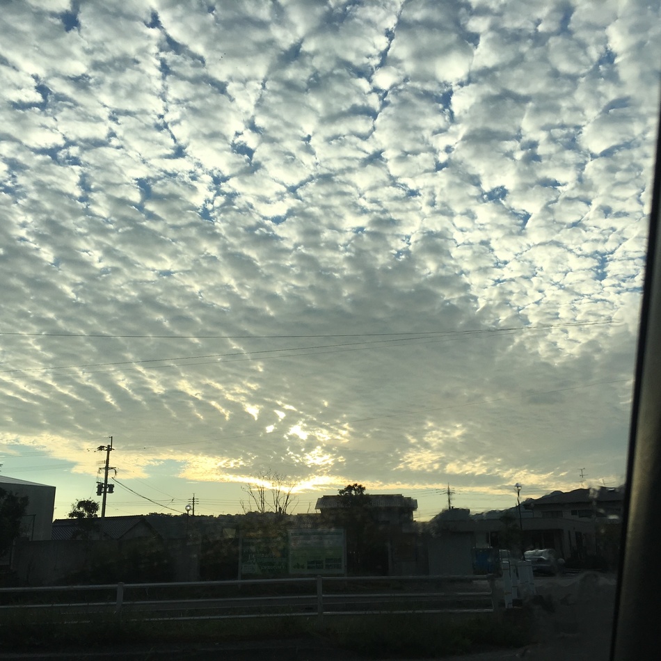 ブブカのカバー写真