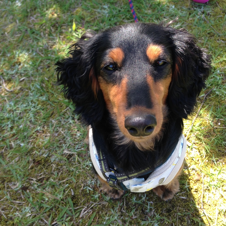 ROCKのカバー写真