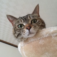 くーちゃん
