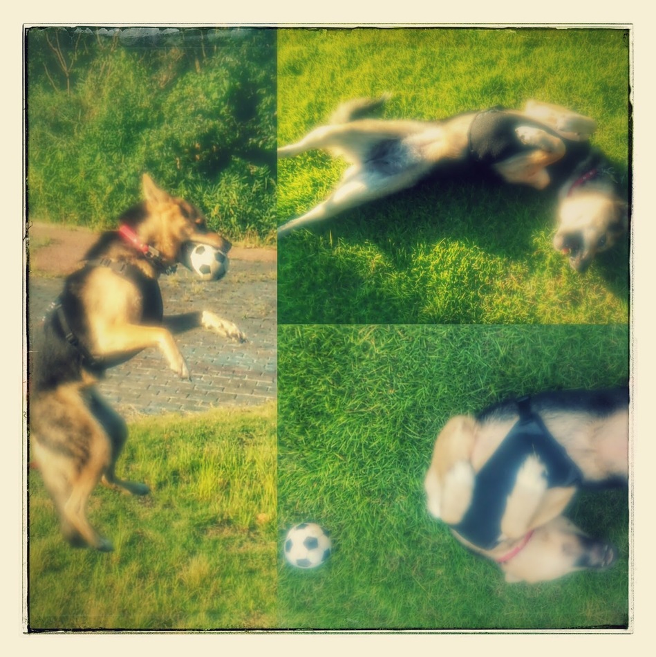 ルンのカバー写真