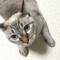 まーちゃん