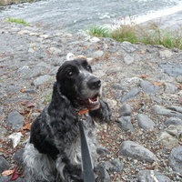 kainaru (カイナル)