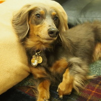 碧貴（たまき）