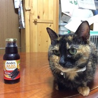 多亜(たあ)