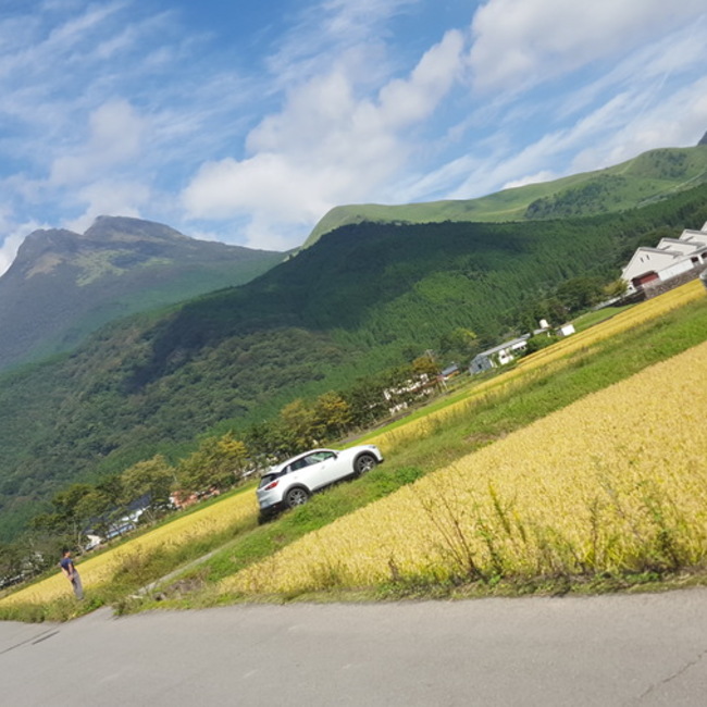 由布院大好きのカバー写真
