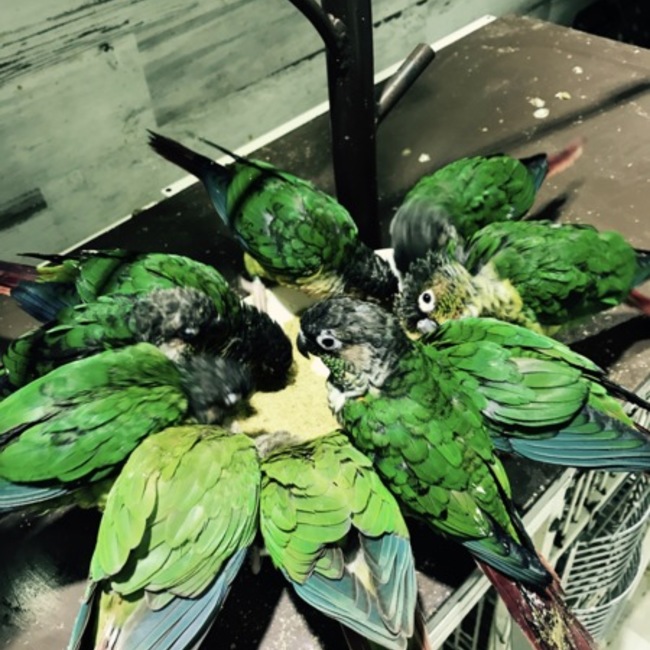 たけべっちのカバー写真