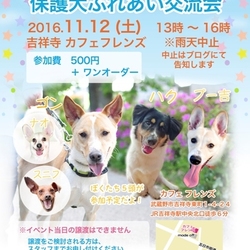 わんずぺ～す　保護犬ふれあい交流会