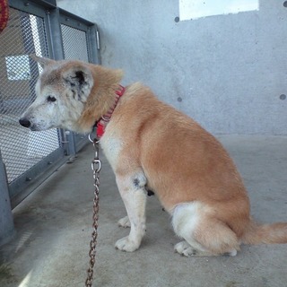 とっても良い子センター名ウメ子ちゃん