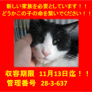 里親決定！！本当に有り難うございました(^^♪