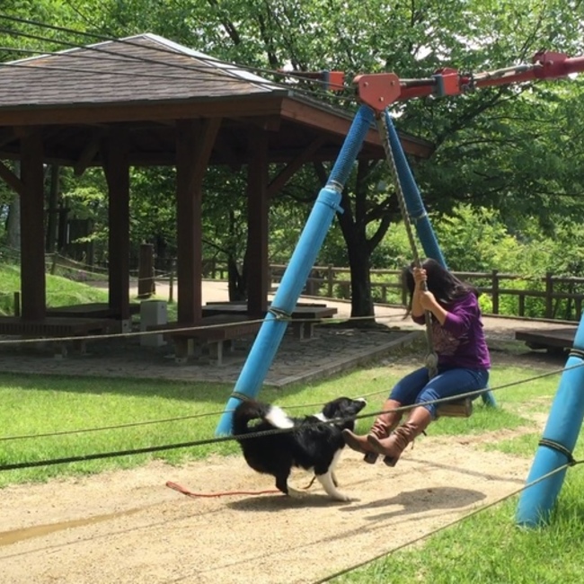 Momokongのカバー写真