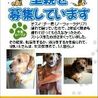 飼育放棄のテリア系「ジャム」くん サムネイル2