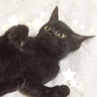 小さいコウちゃん☆